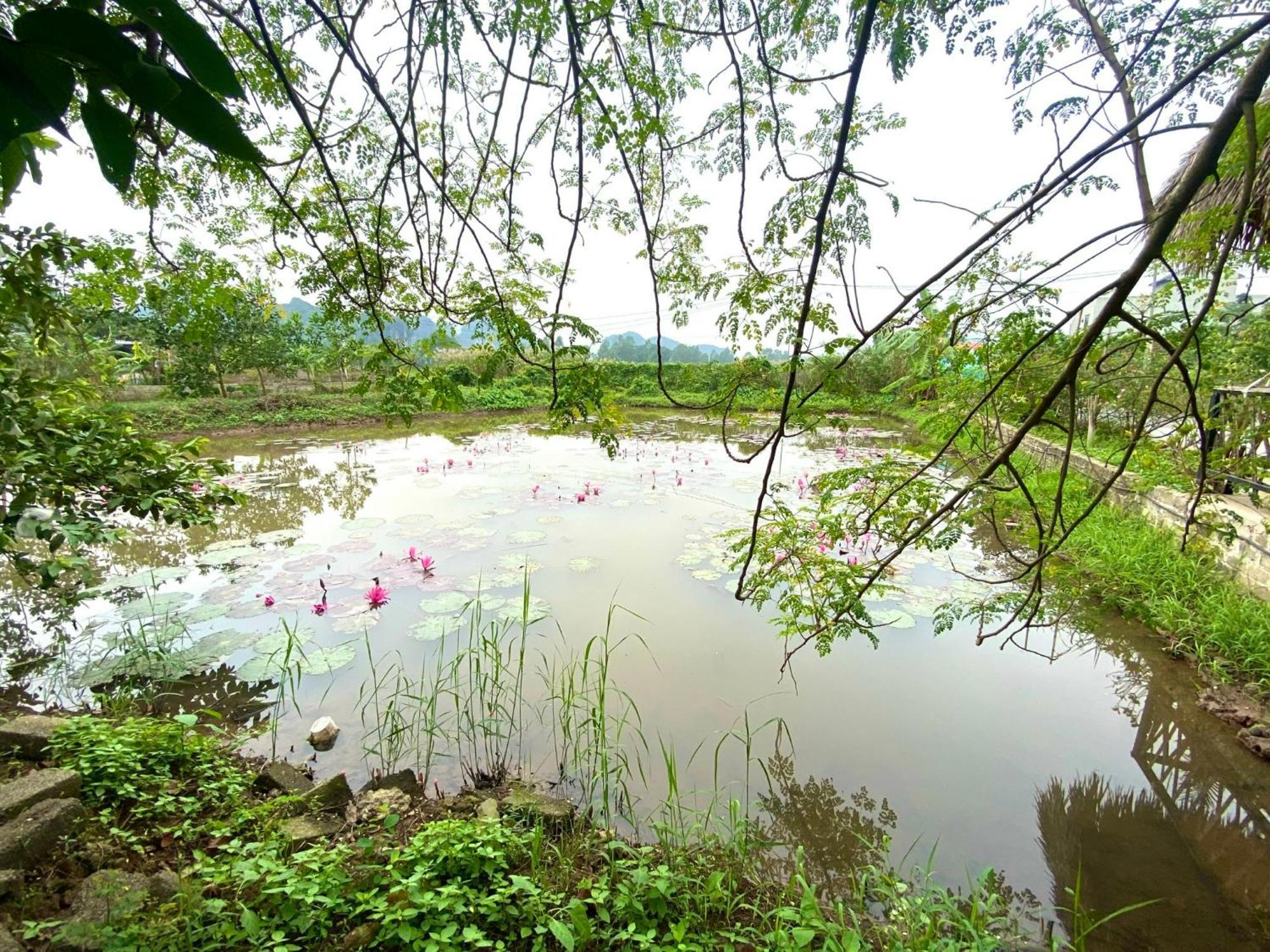 Hotel Nan House - Tam Coc Ninh Binh Exteriér fotografie